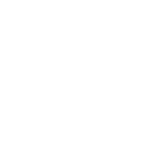 Meshminds
